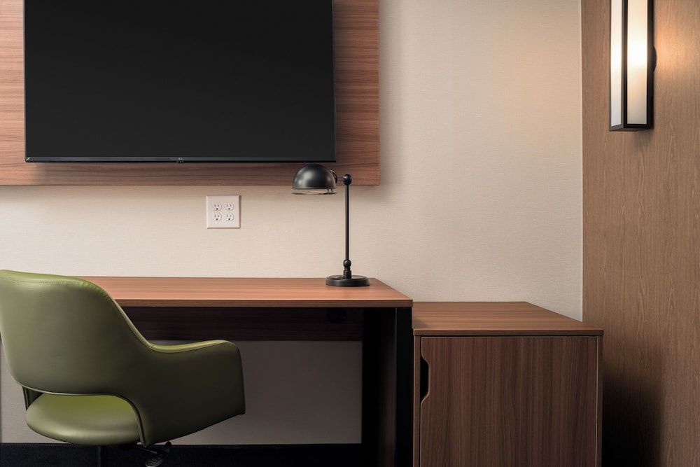 Fairfield Inn & Suites By Marriott Cullman Room, 1 King Bed 6