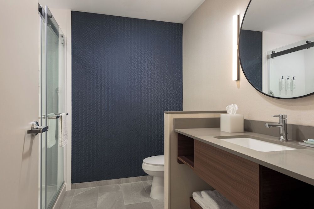 Fairfield Inn & Suites By Marriott Cullman Room, 1 King Bed 3