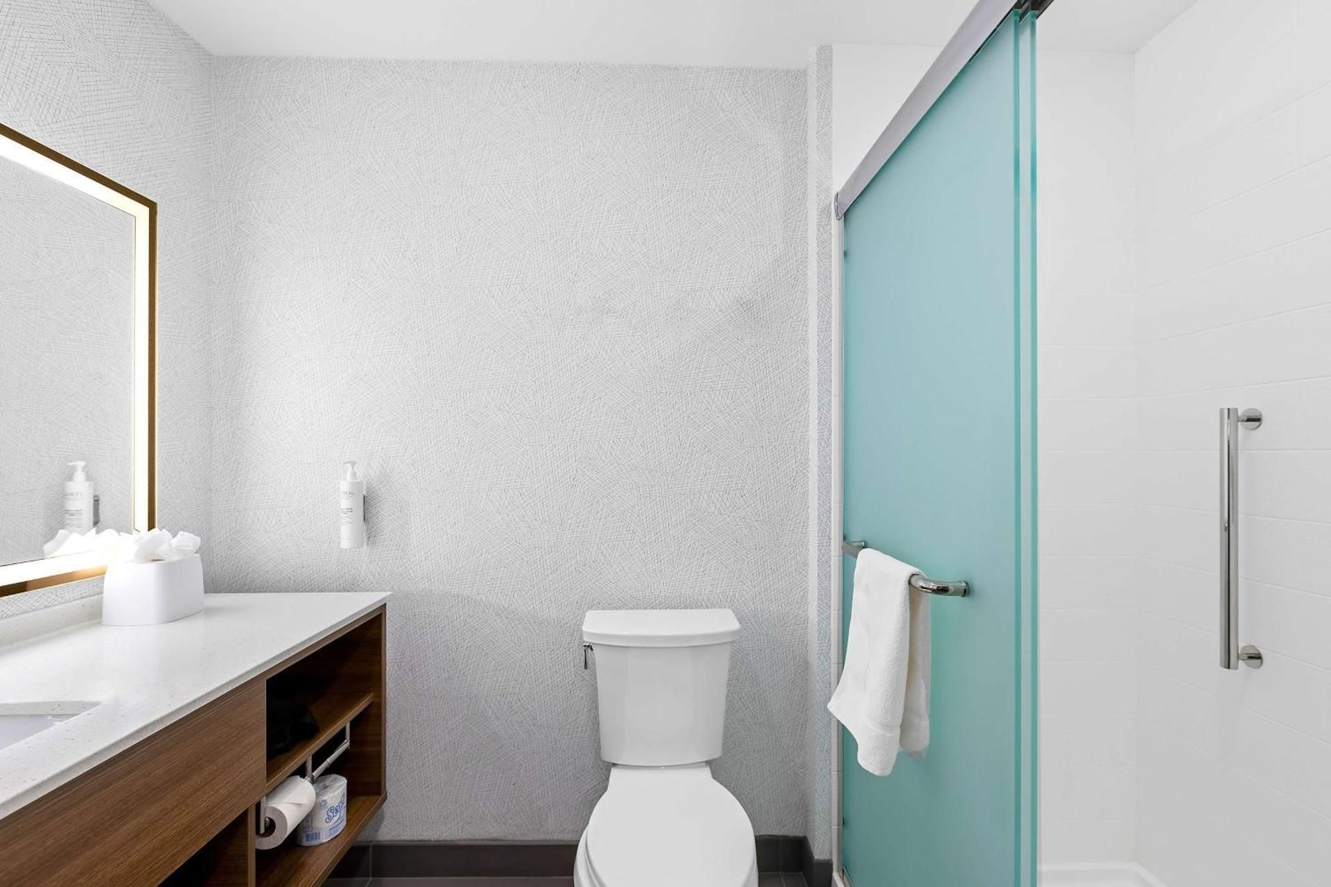 1 King Bed Studio Suite