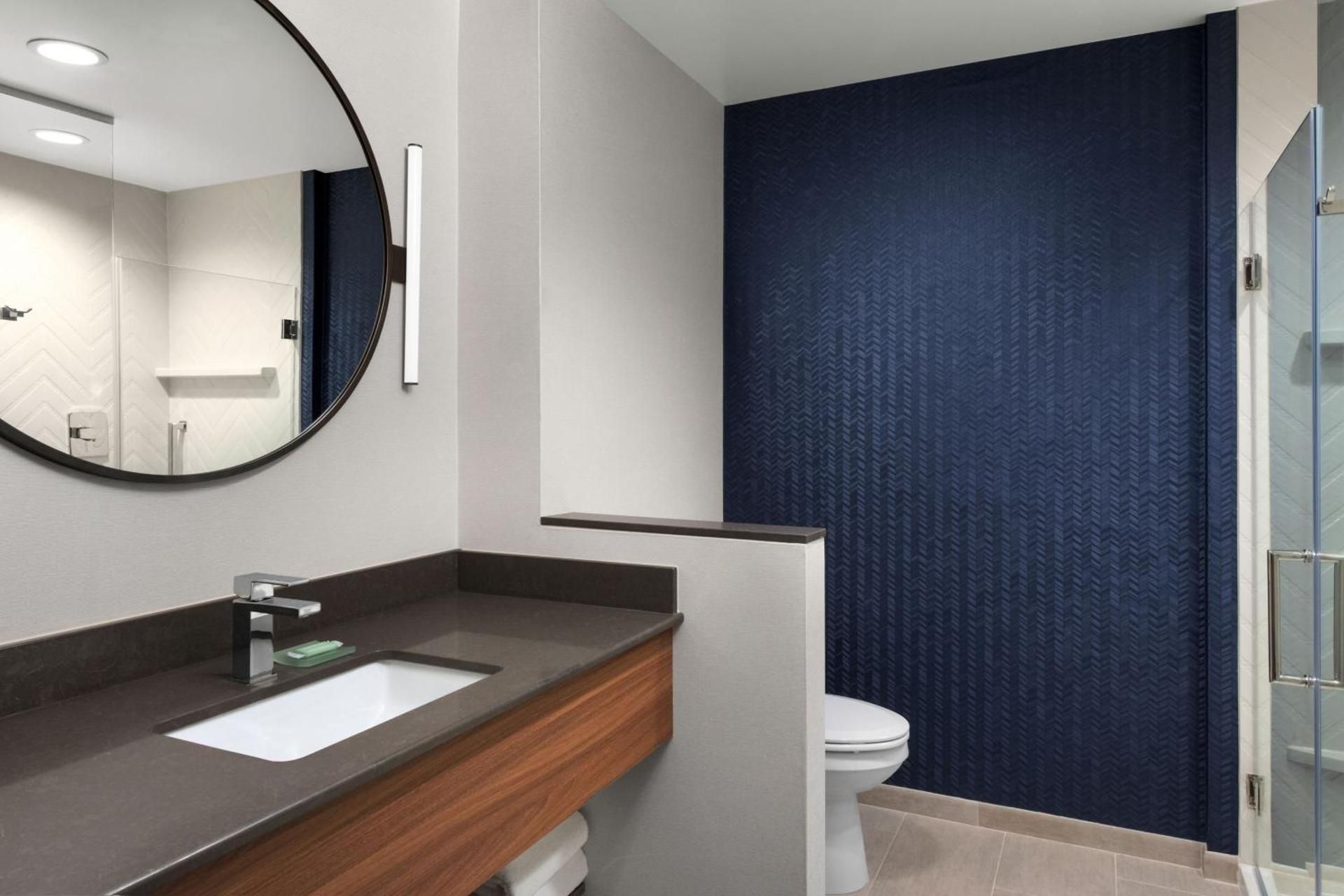 Suite, 1 King, Sofa bed