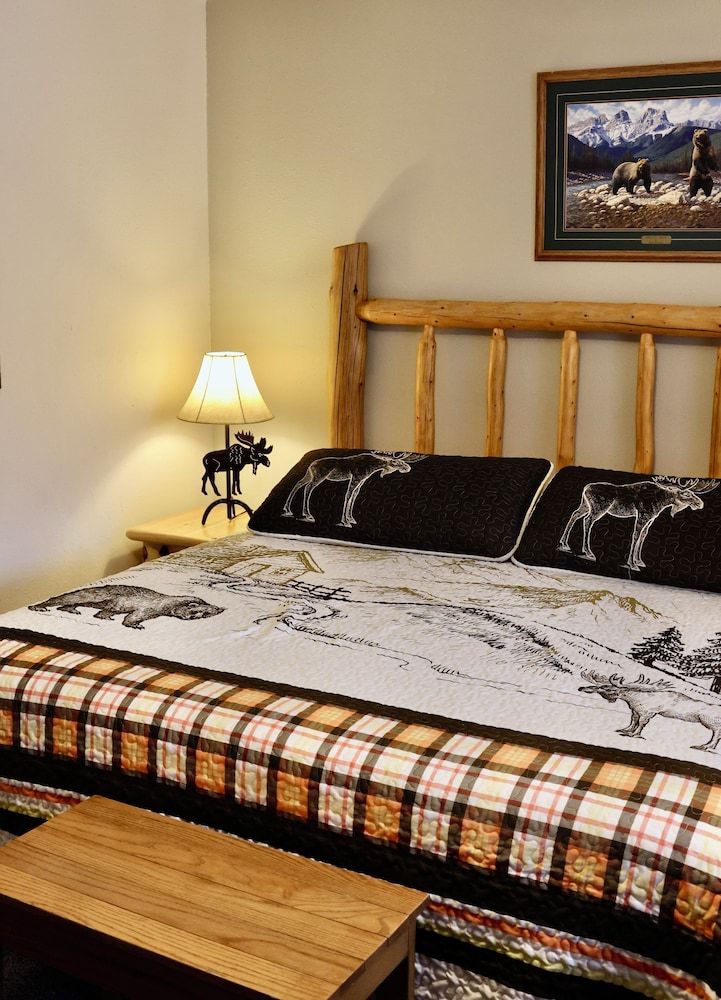 Single Room, 1 King Bed