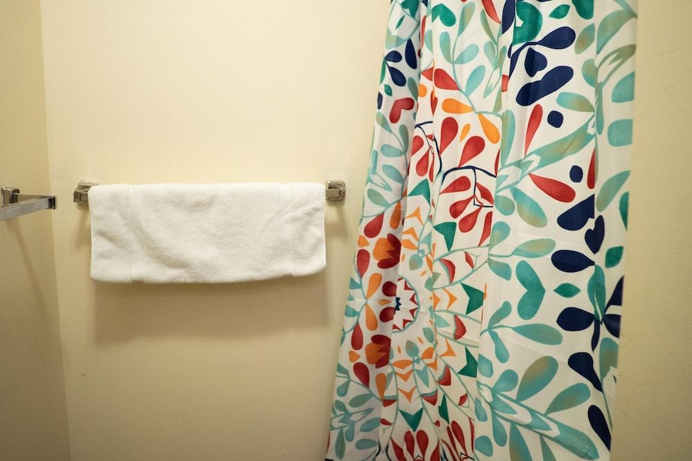 Downtown Apt Walk Everywhere Clean Safe Apartment 8