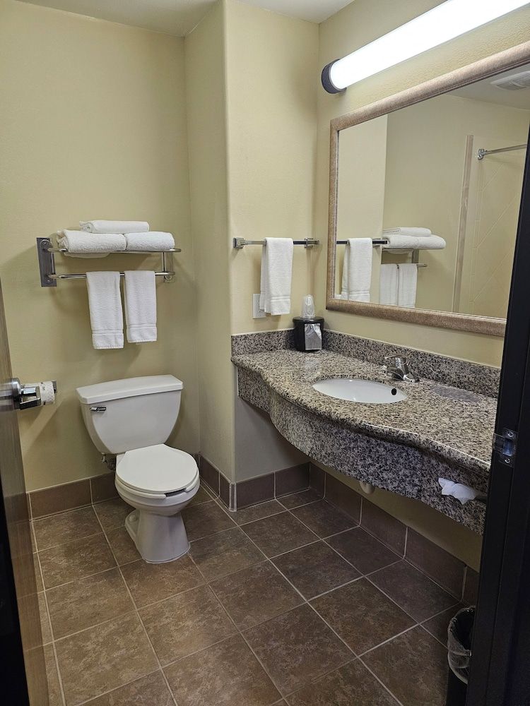 Express Inn Leesville Ft Johnson, SureStay Collection by BW Standard Room, 1 King Bed, Non Smoking, Refrigerator & Microwave 5