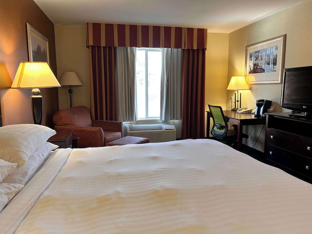 Express Inn Leesville Ft Johnson, SureStay Collection by BW Standard Room, 1 King Bed, Accessible, Refrigerator & Microwave 7