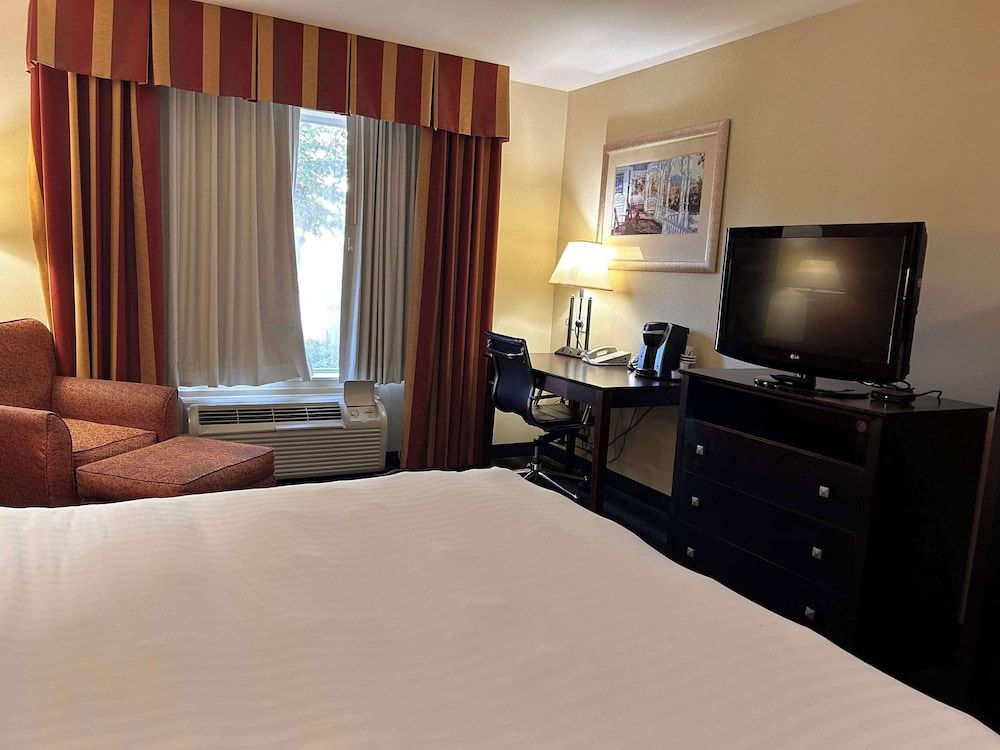 Express Inn Leesville Ft Johnson, SureStay Collection by BW Standard Room, 1 King Bed, Accessible, Refrigerator & Microwave 4