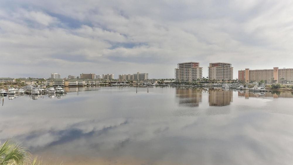 Dolphin Point 404b