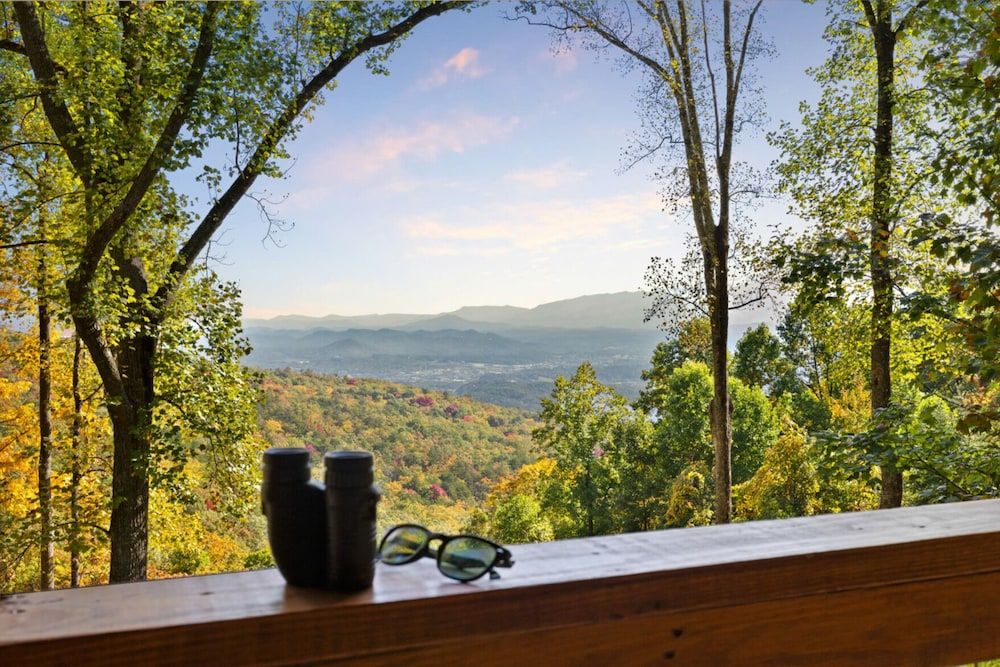 Family Cabin, Mountain View