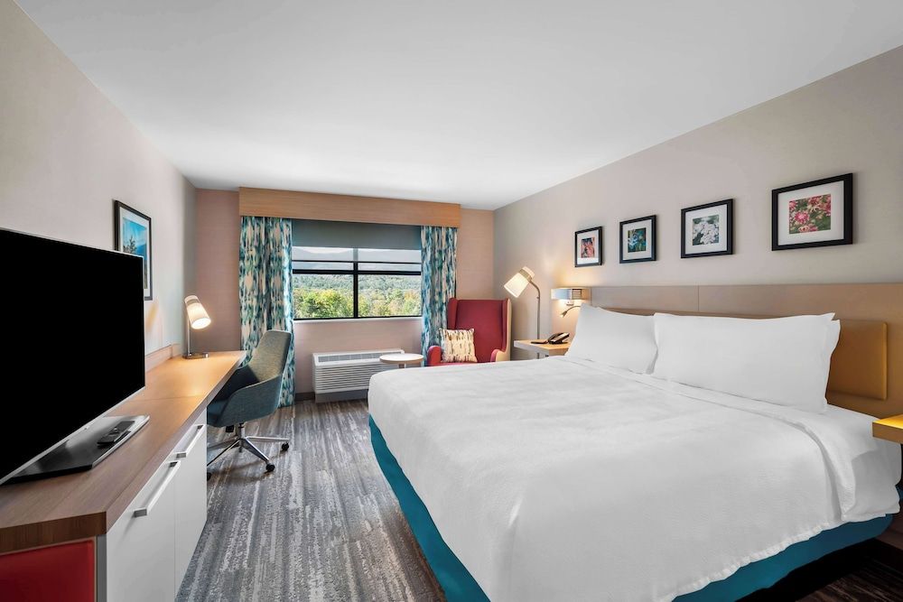 Hilton Garden Inn North Conway Room, 1 King Bed, Mountain View 2