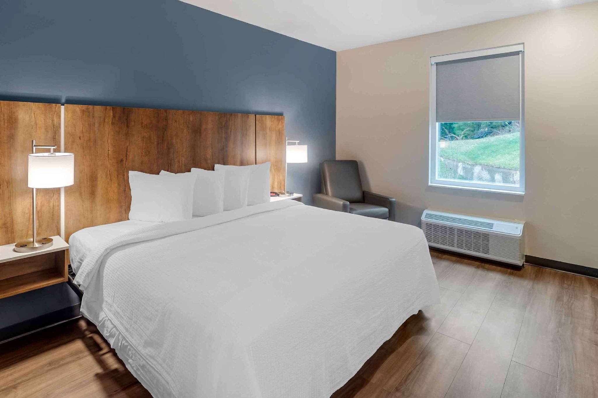 Standard Studio 1 King Bed Nonsmooking