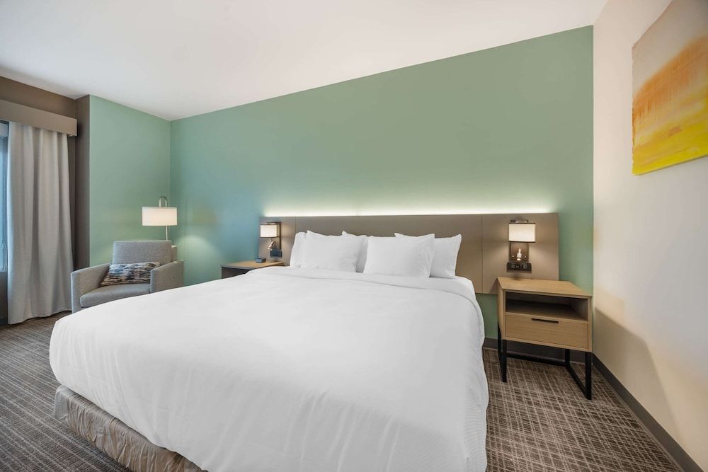 Room, 1 King Bed, Non Smoking (Accessible Tub)