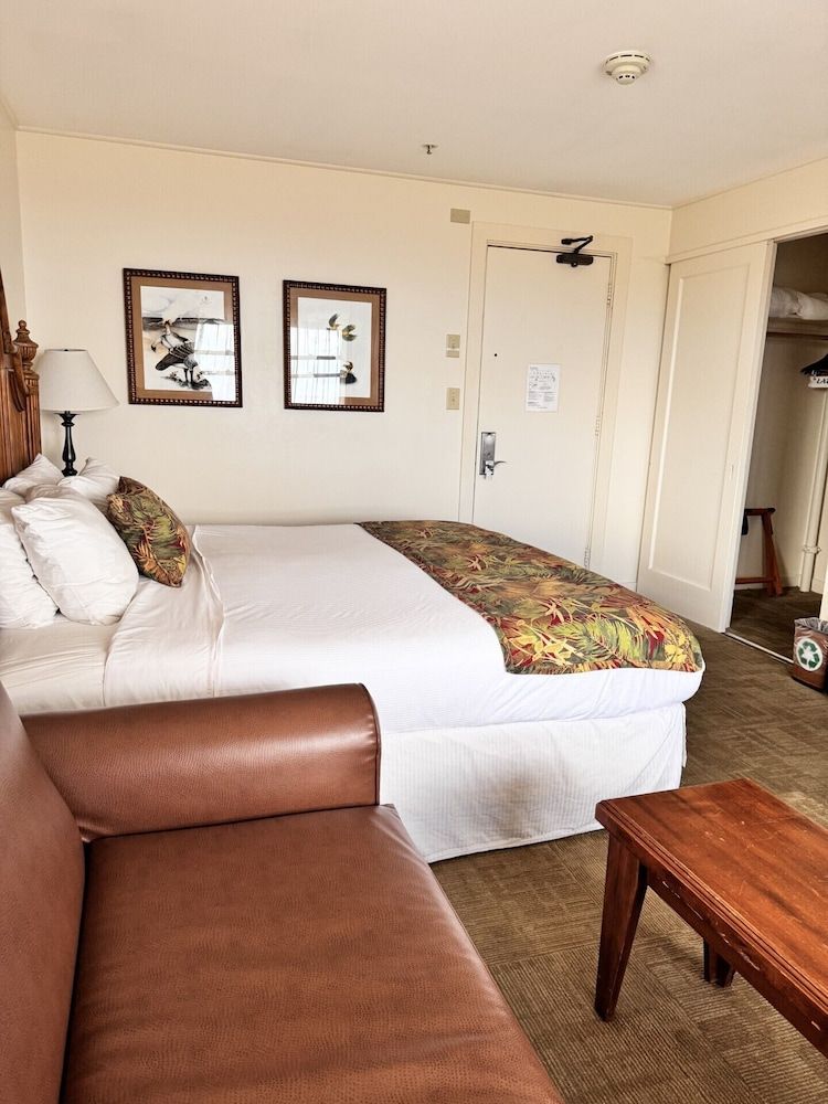 Triple Room, Park View