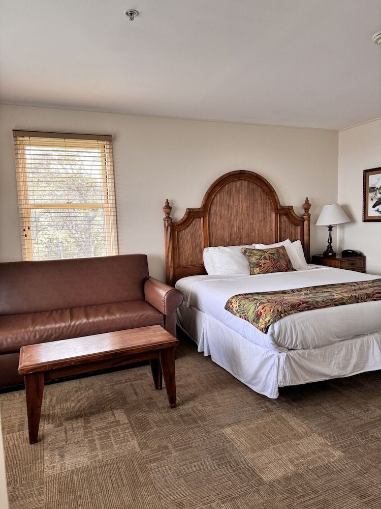 Triple Room, Park View