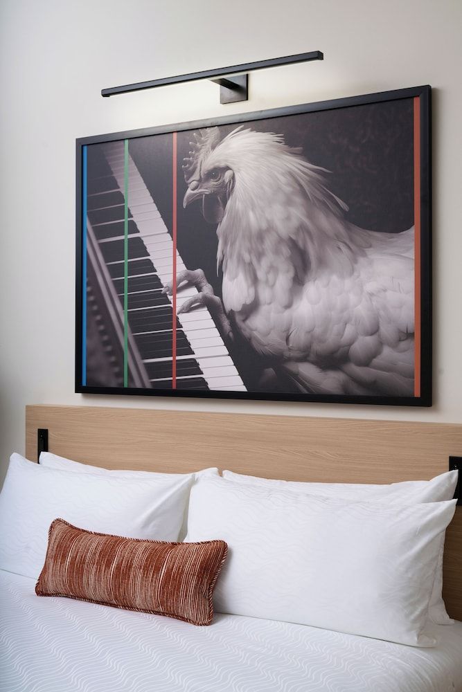 Room, 1 King Bed