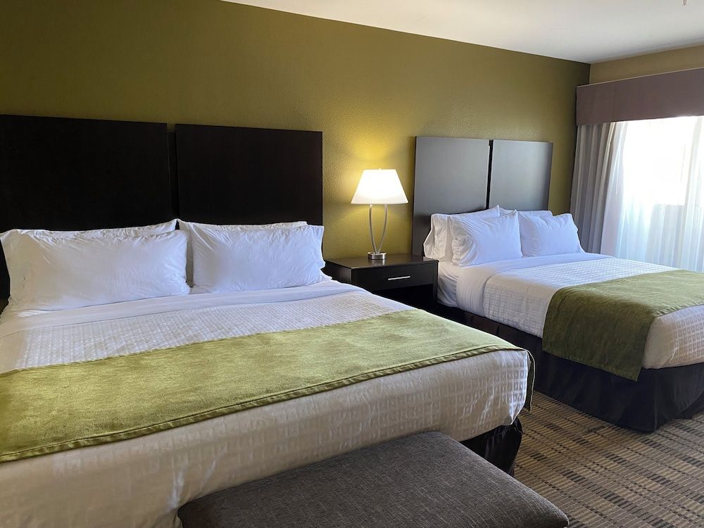 Suite, King and Queen, Lake View