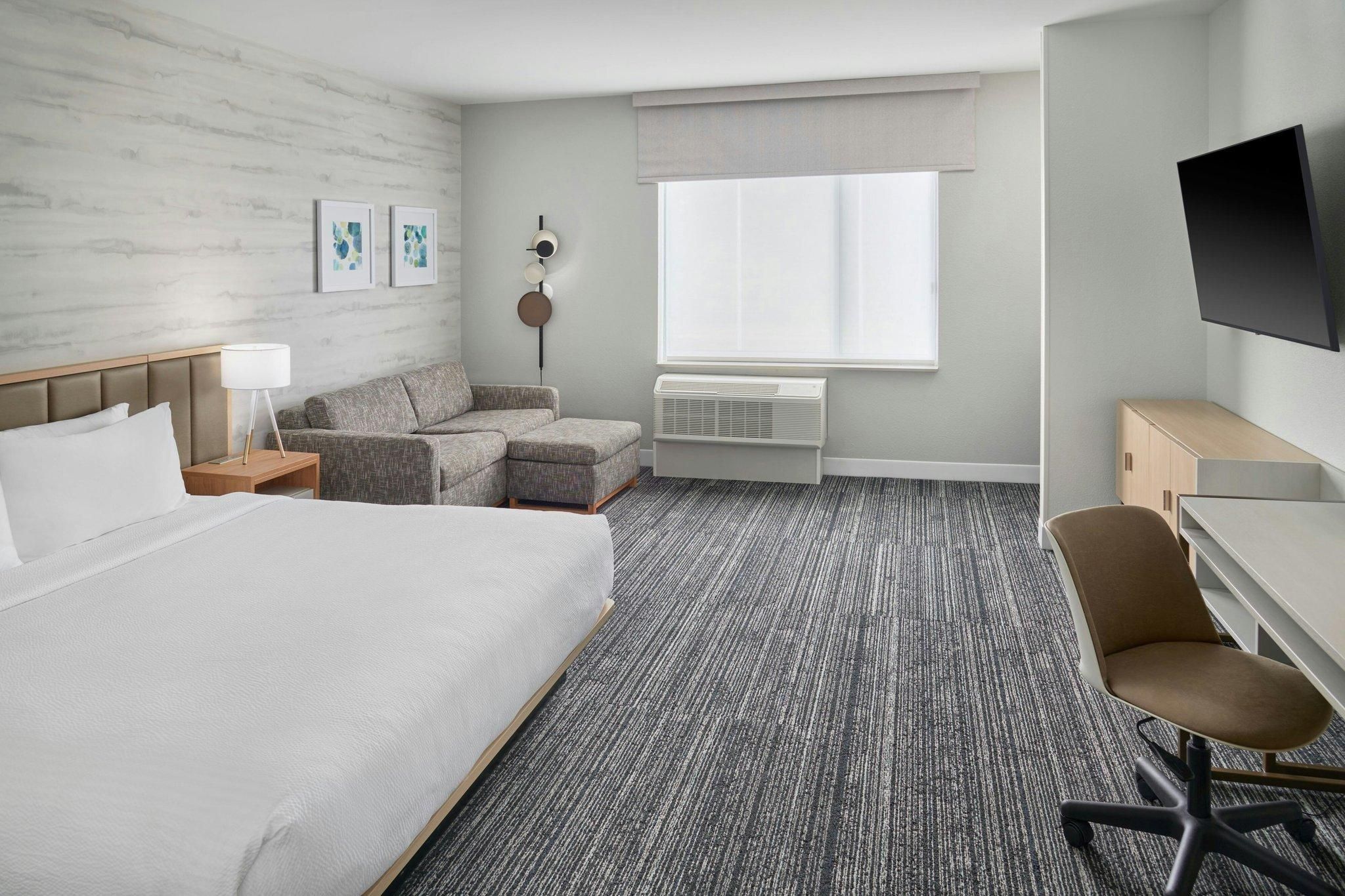1 King Studio Suite, Studio Suite, 1 King, Sofa Bed