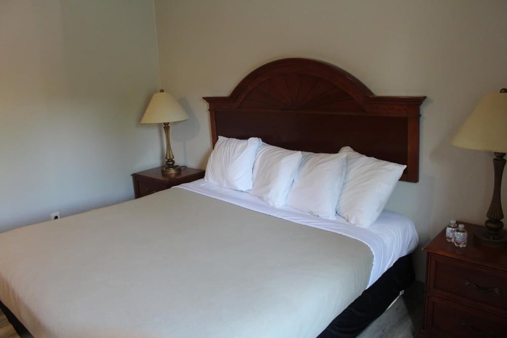 Standard Room, 1 King Bed, Accessible