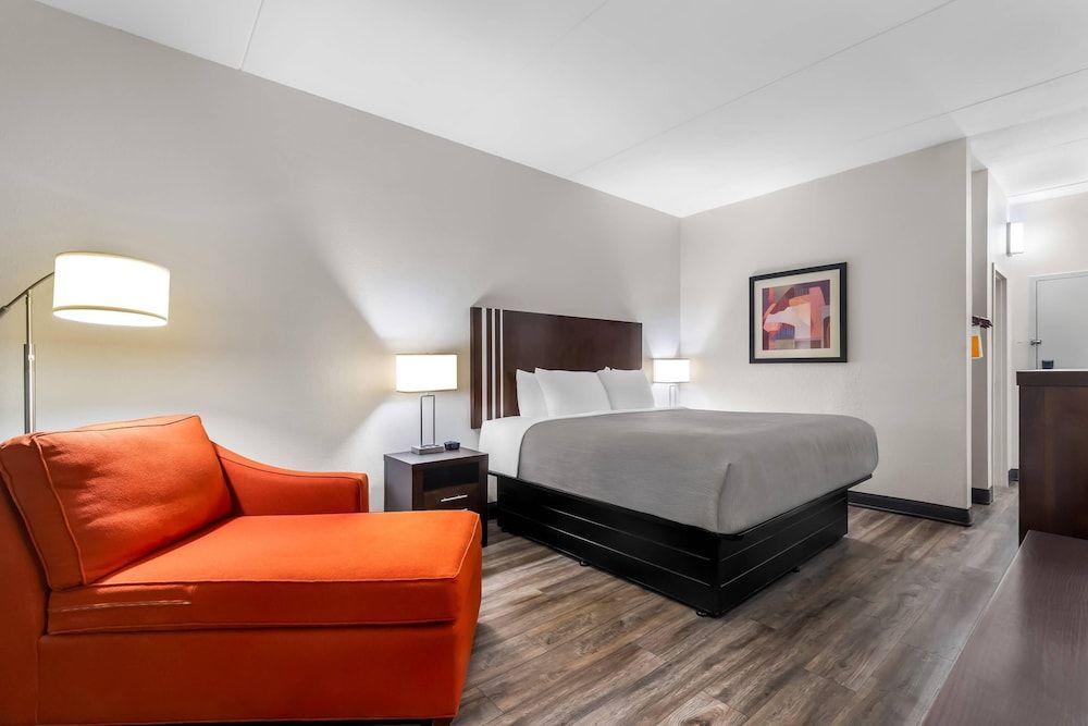 Standard Room, 1 King Bed, Non Smoking