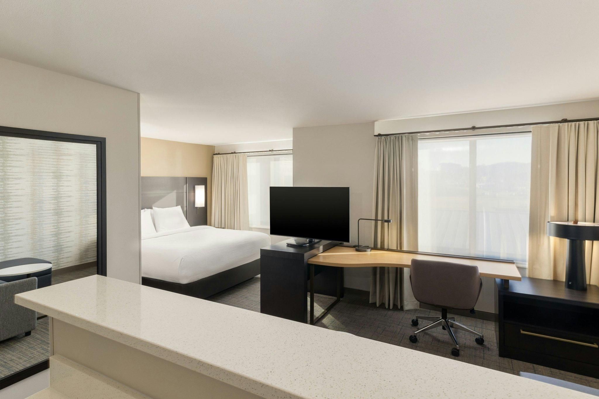 Suite, 1 King, Sofa bed