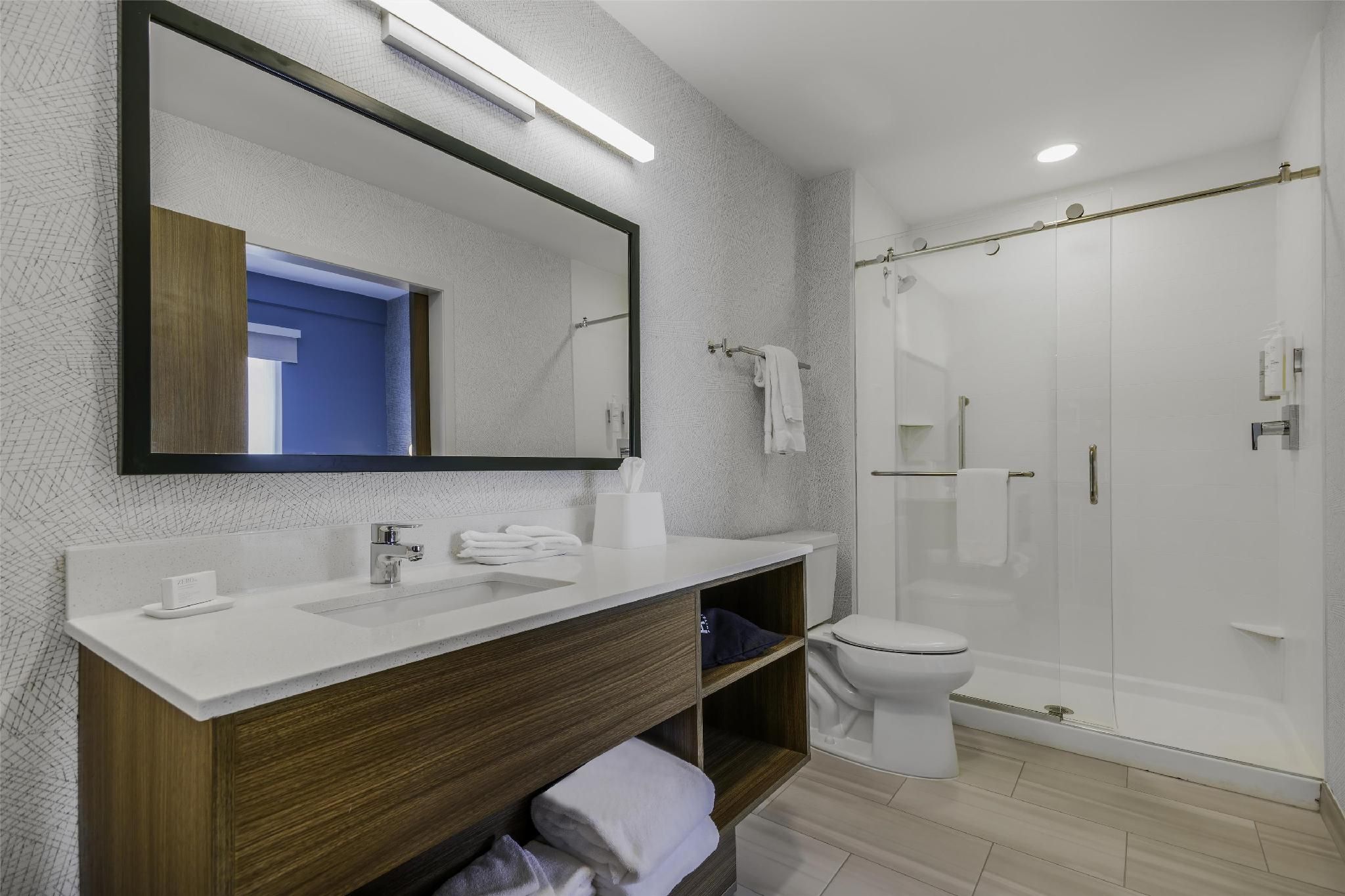 1 King Bed 1 Bedroom Suite