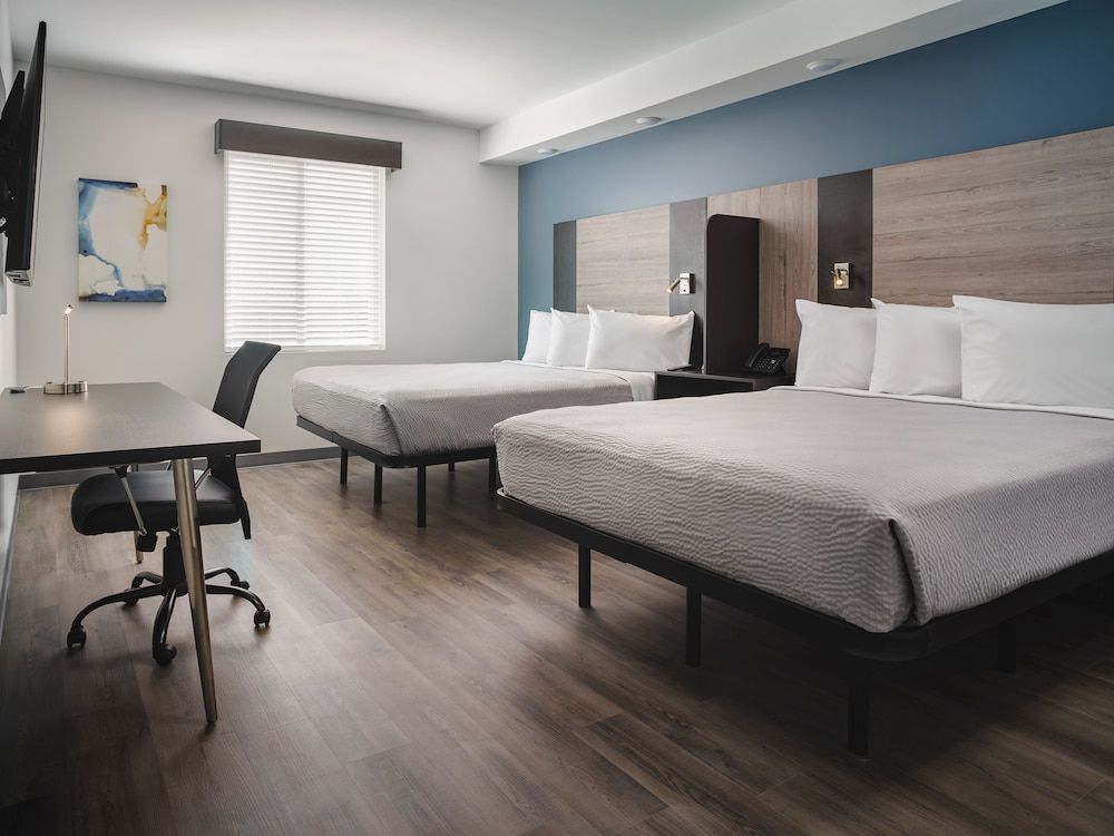 Suite, Mobility Accessible, Kitchen