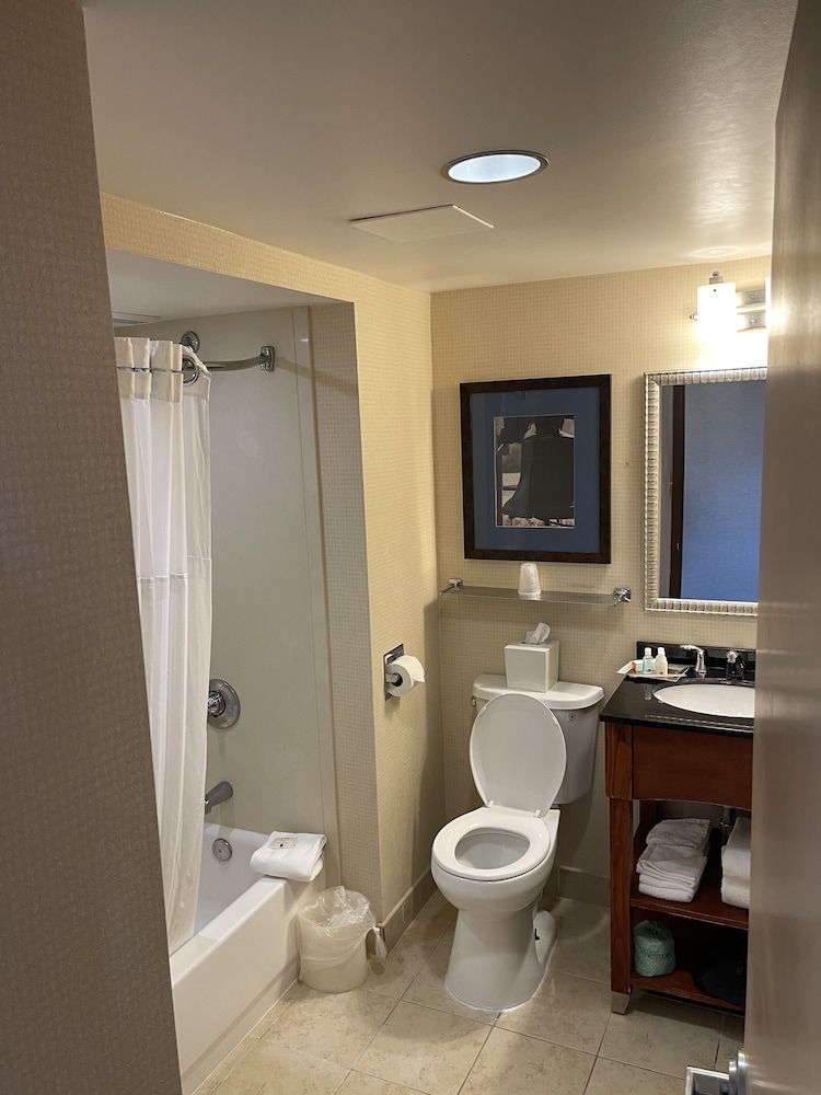 Quality Hotel Room, 1 King Bed with Sofa bed, Non Smoking 2