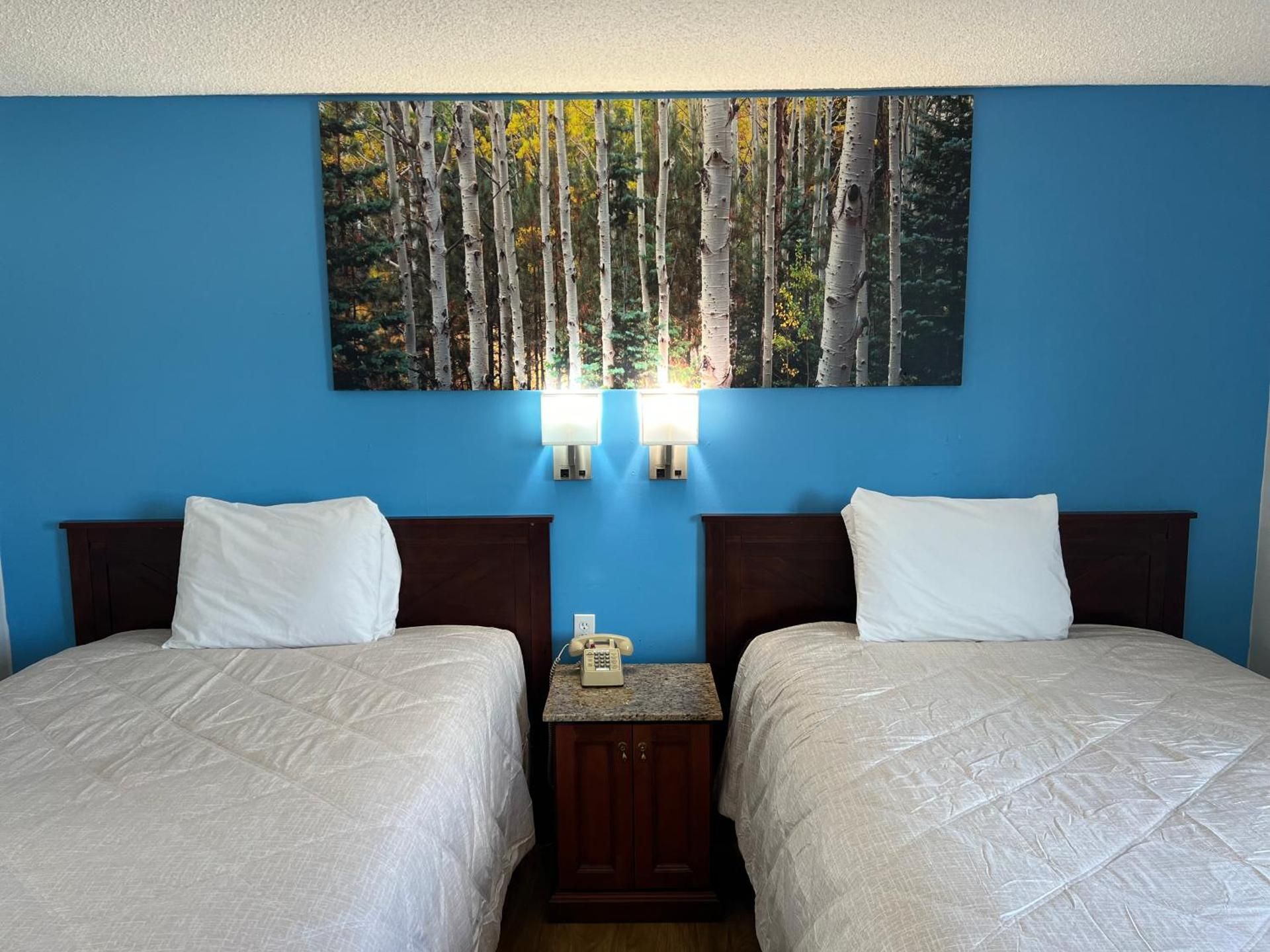 Double Room with Two Double Beds