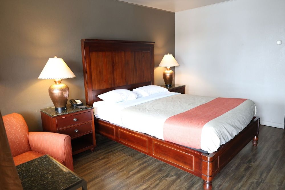 Room, 1 King Bed