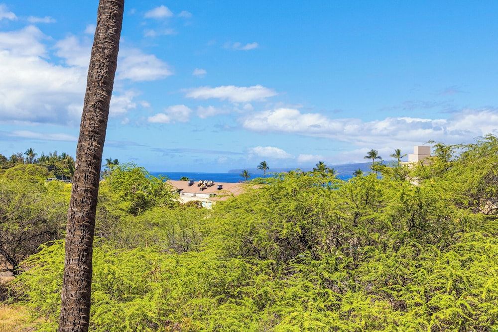 Kihei Ali'i Kai Condos with Free Parking Family Condo, 1 Bedroom, Air conditioning, Partial Ocean View (1005) 9