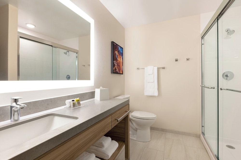 Studio Suite, 1 King Bed, Roll-in Shower (Mobility)