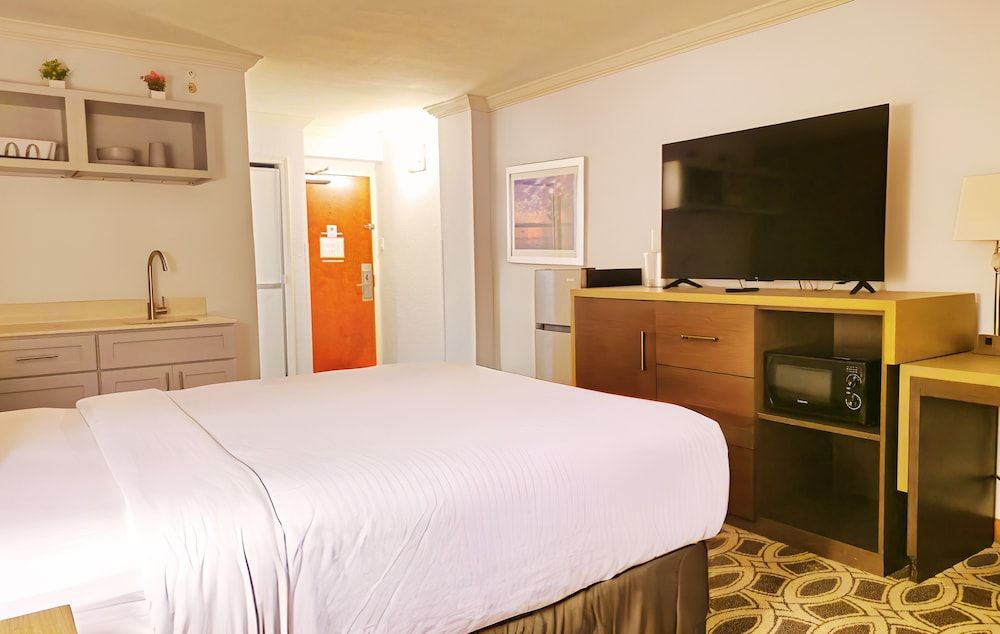 Standard Single Room, 1 Queen Bed, Non Smoking, Kitchenette