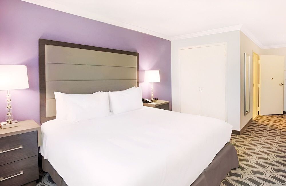 Standard Single Room, 1 King Bed, Mobility Accessible, Non Smoking