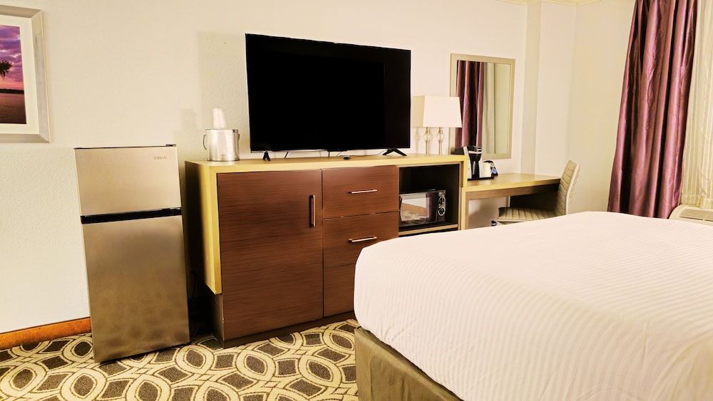 Standard Single Room, 1 King Bed, Non Smoking, Kitchenette