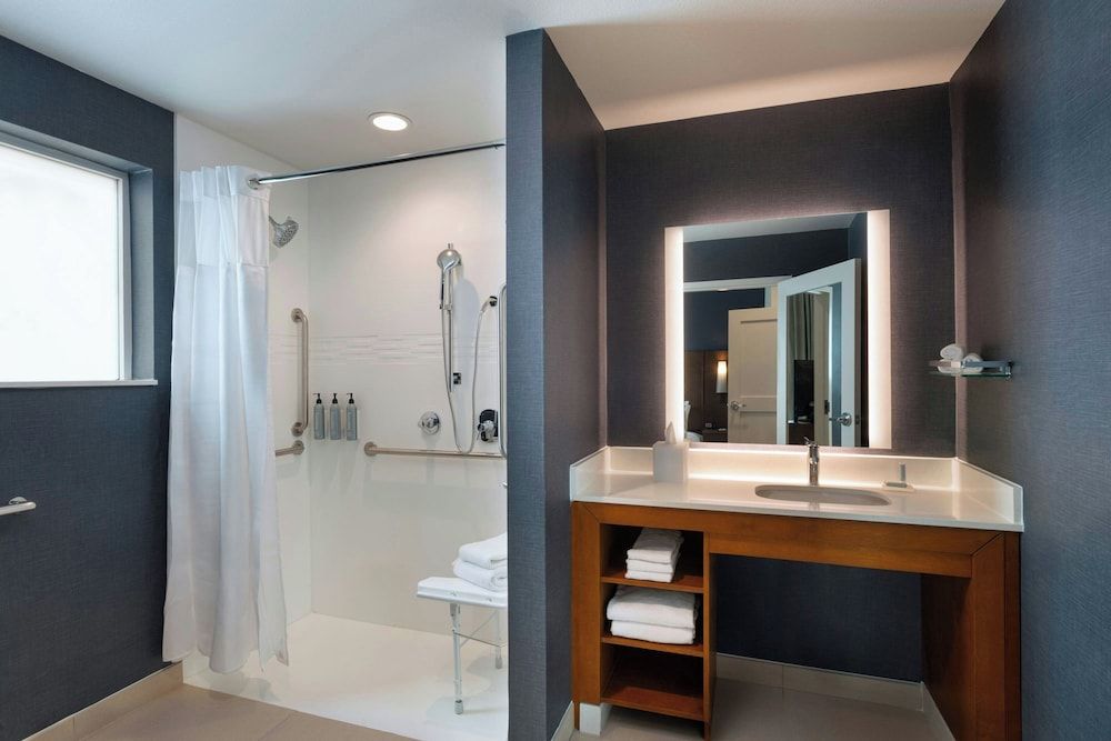 Studio Suite, 1 King Bed with Sofa bed (Hearing Accessible)