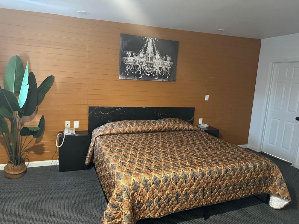 Domino Motel Standard Single Room, 1 King Bed 2