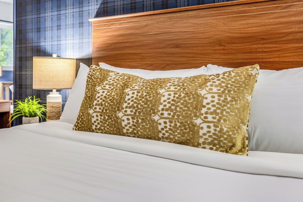 The Angler Lodge Premier Suite, 2 Bedrooms 4