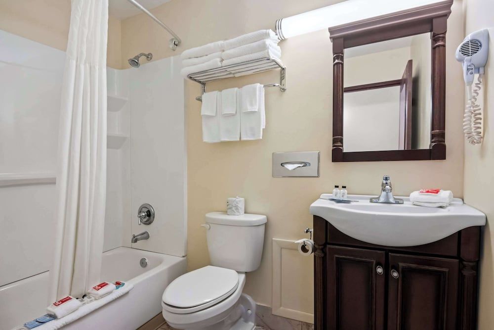 Econo Lodge Manistee Room, 1 King Bed, Non Smoking 4