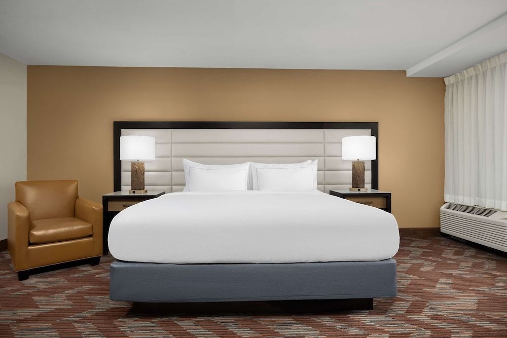 Suite, 1 King Bed