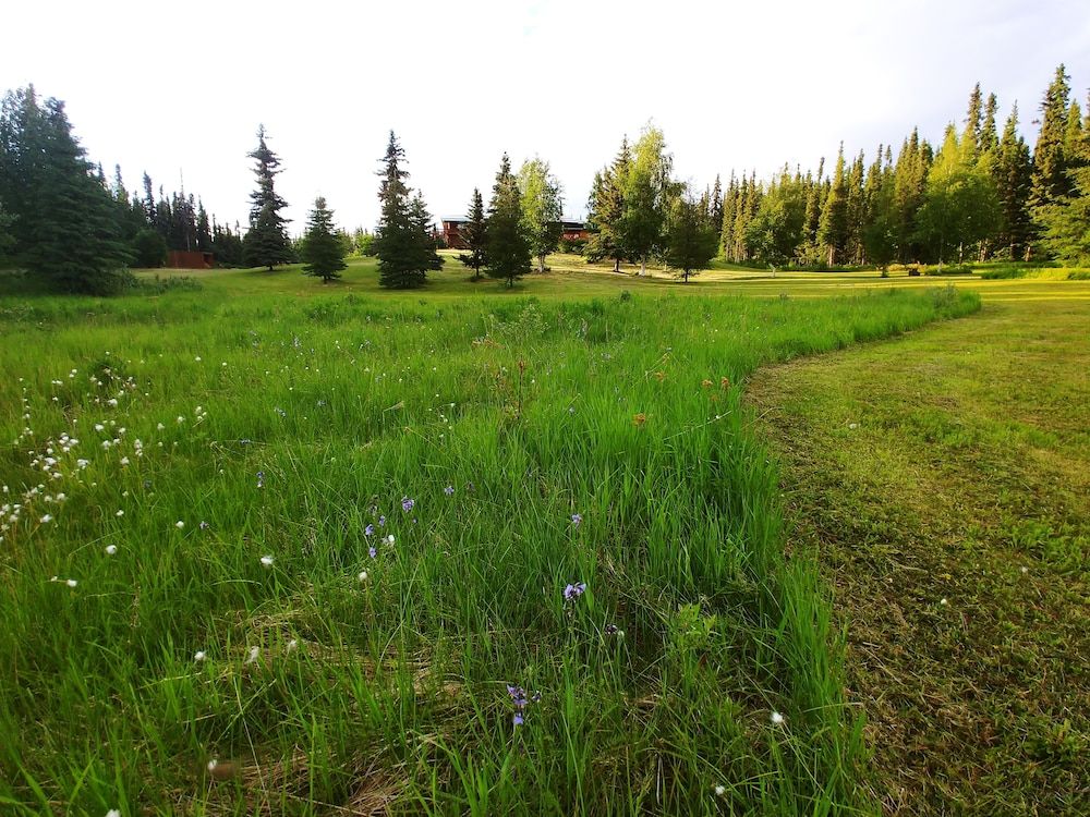 Land View from Property