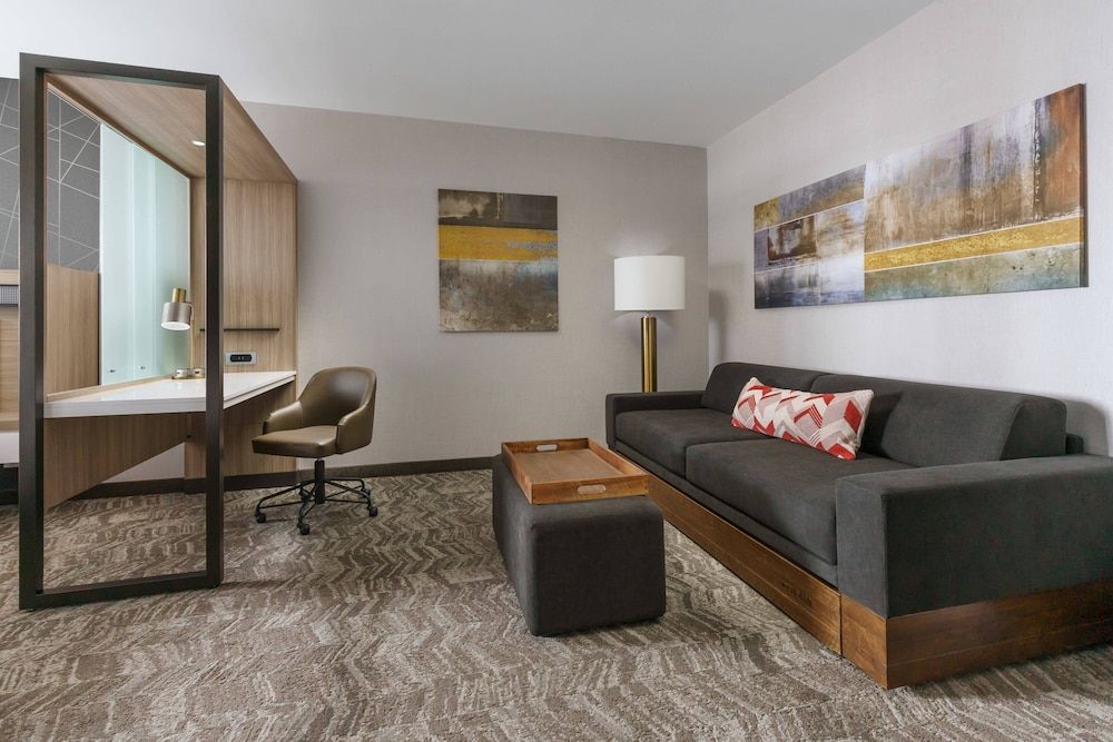 Suite, 1 King Bed with Sofa bed(Mobility Accessible, Roll-in Shower)
