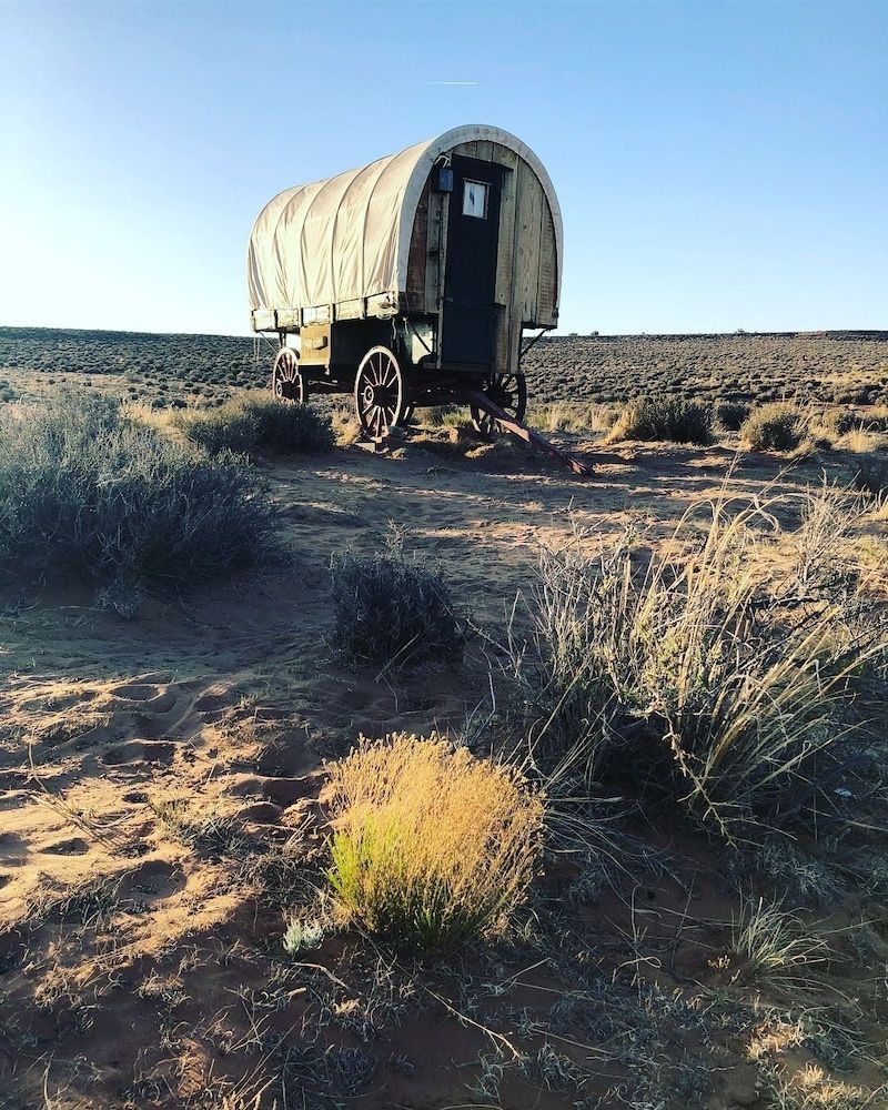 SheepWagon Two