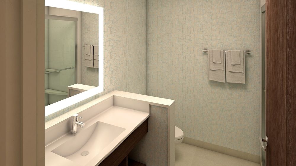 Standard Room, 1 King Bed, Accessible (Communications, Roll-In Shower)
