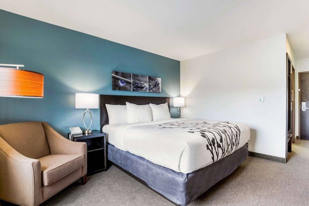 Room, 1 King Bed, Accessible, Non Smoking