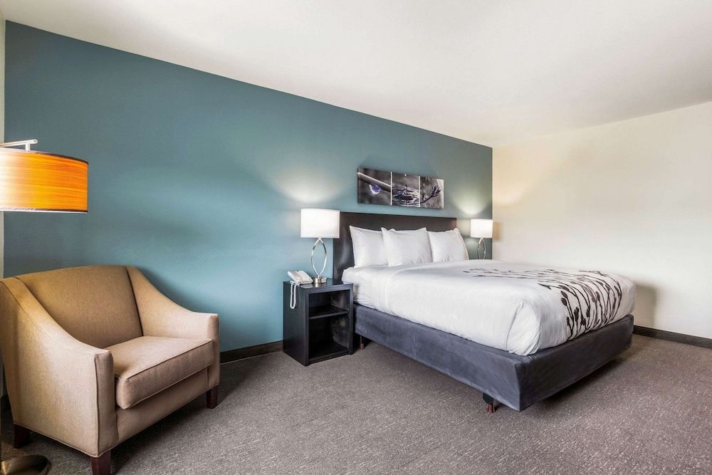Standard Room, 1 King Bed, Non Smoking
