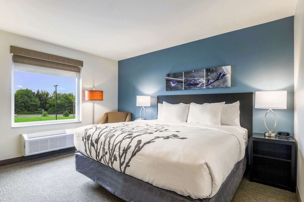 Room, 1 King Bed, Accessible, Non Smoking