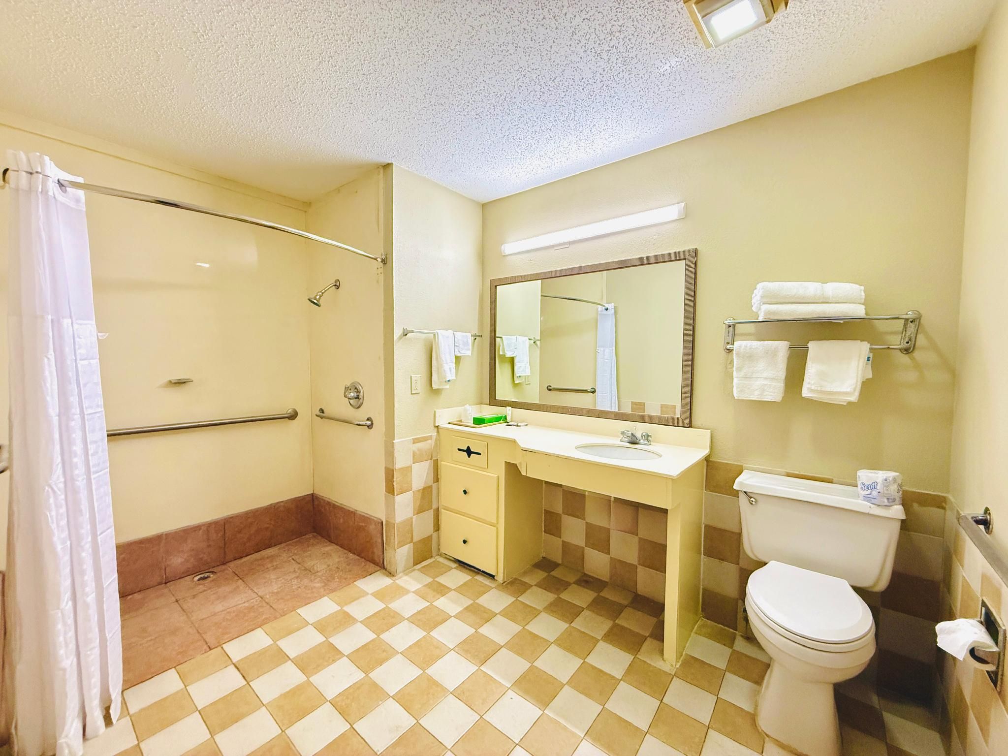 1 King Bed, Mobility Accessible Room, Roll-In Shower, Non-Smoking