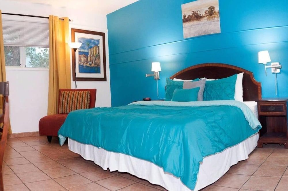 Classic Room, 1 King Bed, Non Smoking