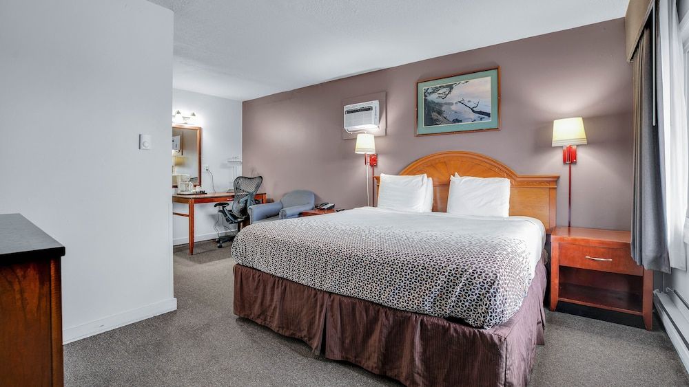 Room, 1 King Bed