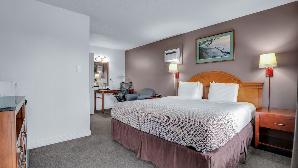 Room, 1 King Bed
