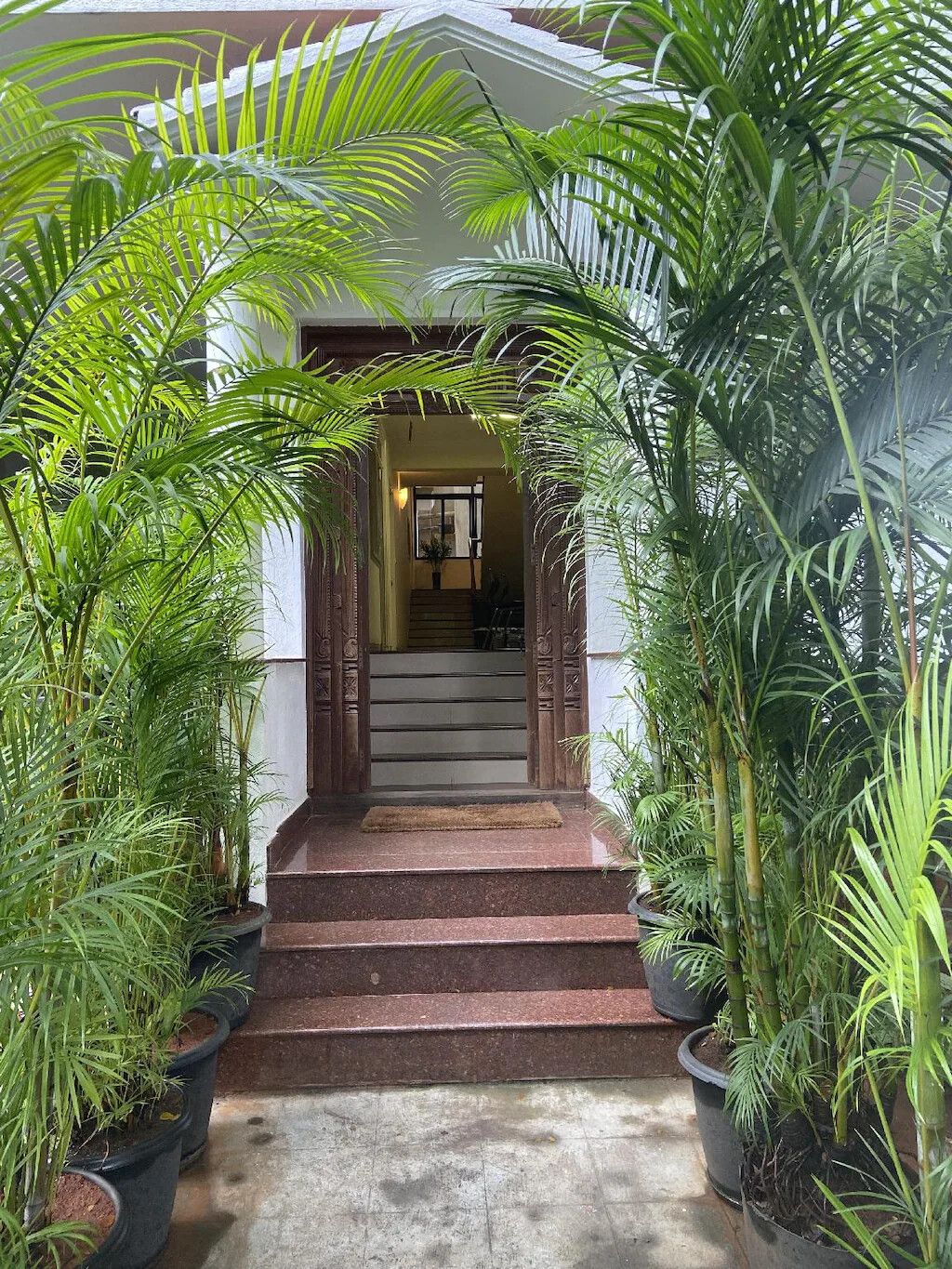 image_4587246_cbe41bfc-aa40-495b-8c60-6aea2234c6ae