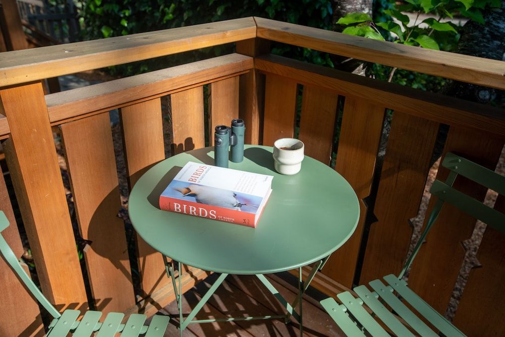 Dawn Ranch Sycamore Cabin 3